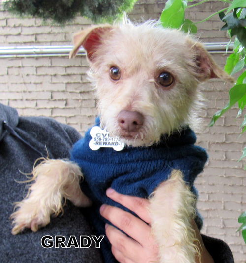 Grady