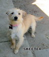 Skeeter