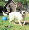 Finley