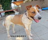 Mayberry