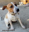 Mayberry