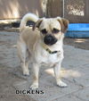 Dickens
