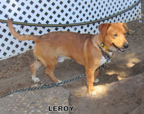 Leroy