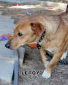 Leroy