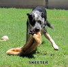 Skeeter