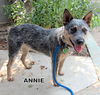 Annie (Ritzy)
