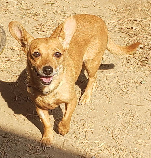 Margo
