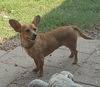Margo