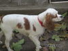 Bristol (Ritzy)