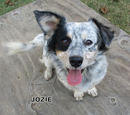 Jozie