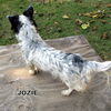 Jozie