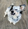 Jozie