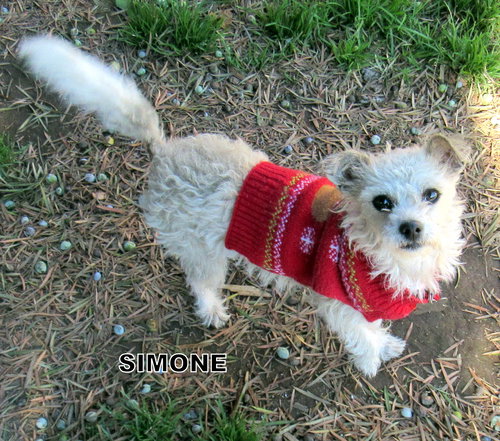 Simone (Ritzy)