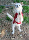 Simone (Ritzy)