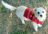 Simone (Ritzy)
