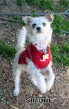 Simone (Ritzy)
