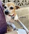 Lola (GrandPaws)