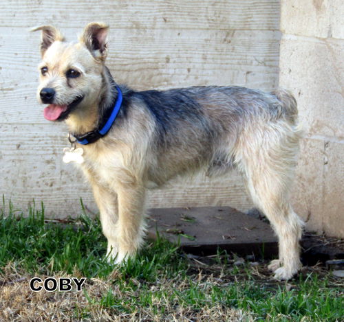 Coby