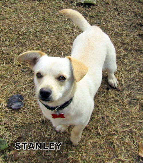 Stanley