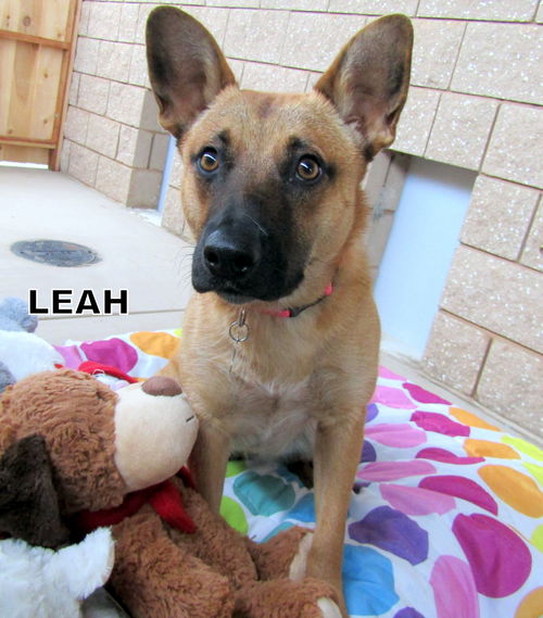 Leah