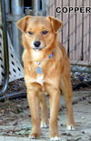 Copper