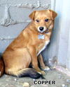 Copper
