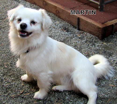 Martin