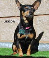 Jedda