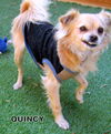 Quincy