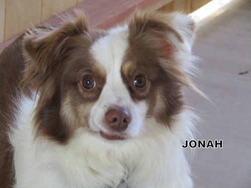 Jonah (Ritzy)