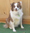 Jonah (Ritzy)