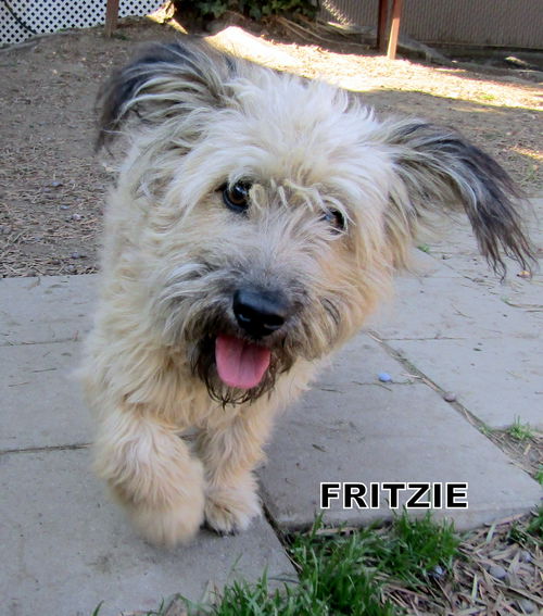 Fritzie (Ritzy)