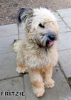Fritzie (Ritzy)