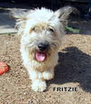 Fritzie (Ritzy)