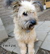 Fritzie (Ritzy)