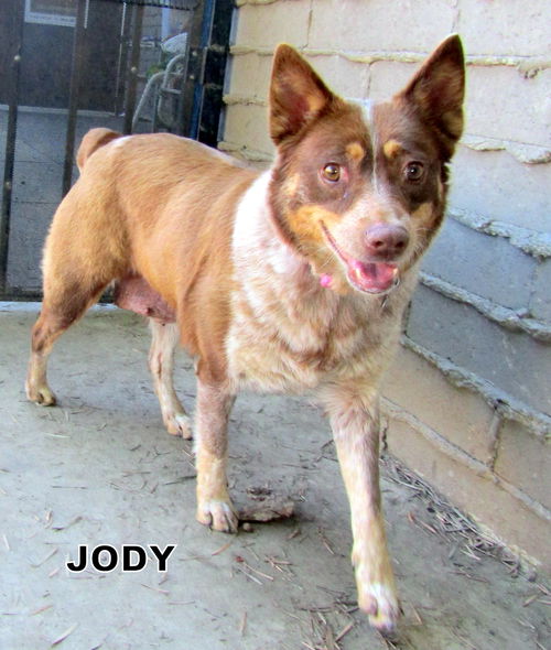 Jody (Ritzy)