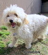 BonBon (Ritzy)