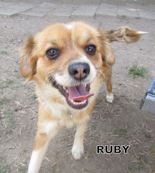 Ruby