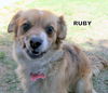 Ruby