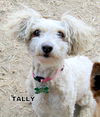 Tally (Ritzy)