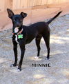 Minnie