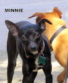 Minnie