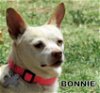Bonnie (GrandPaws)
