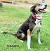 Mason