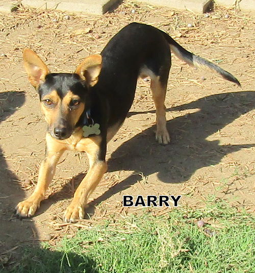 Barry