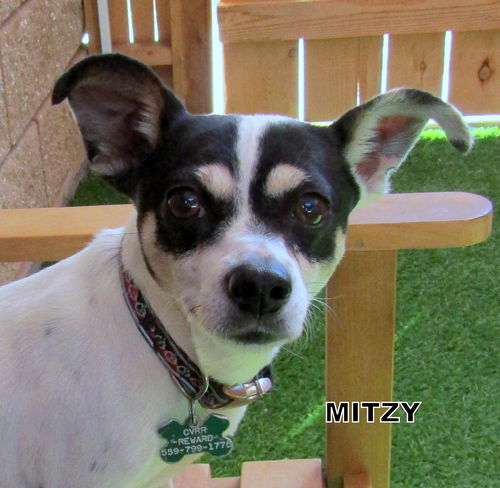 Mizty
