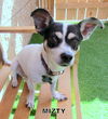 Mizty