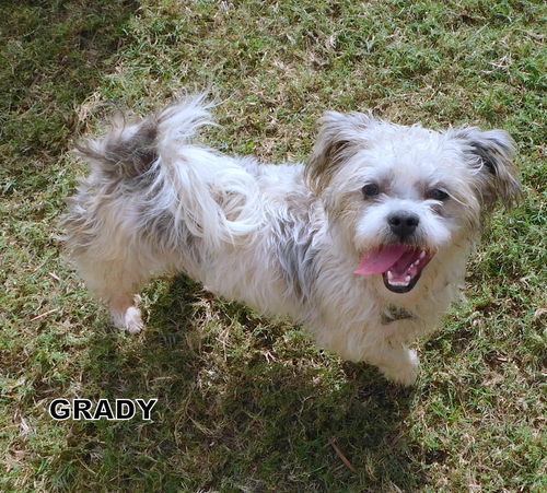 Grady (Ritzy)