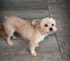 BonBon (Ritzy)