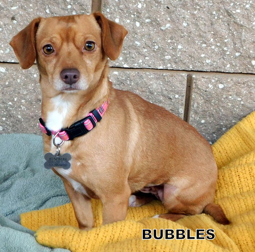 Bubbles